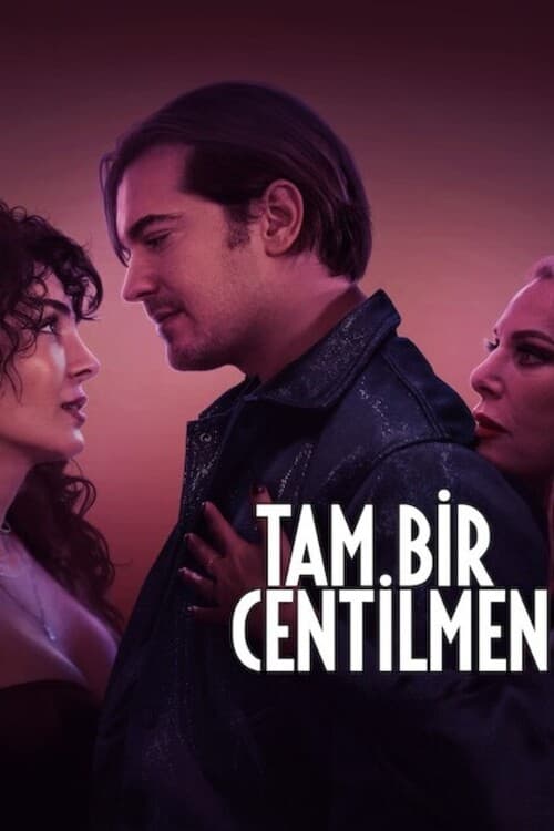 Tam Bir Centilmen İzle Full HD 1080P Türkçe Dublaj İzle Dizibun